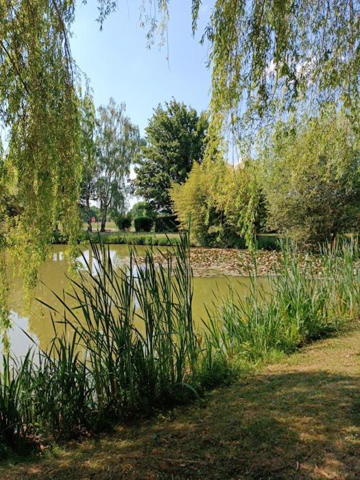 Comme A La Maison Pres Des Chateaux De La Loire Feings  Exterior photo